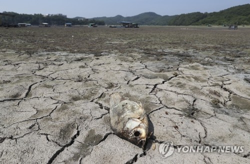 가뭄에 바짝 마른 진천 초평저수지. [연합뉴스 DB]