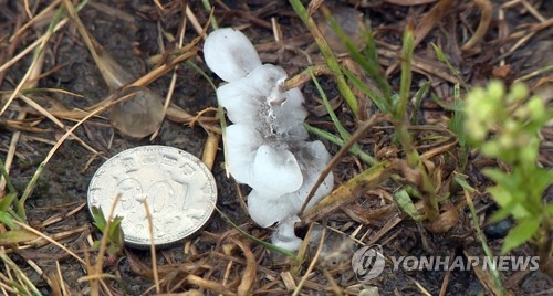 동전만한 크기가 하늘서 '우르르'…충북에도 우박 쏟아져 - 2