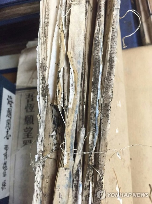 훼손된 고문서