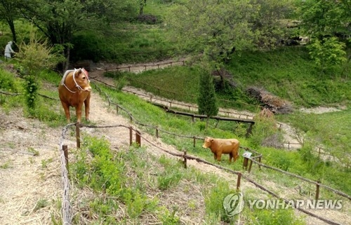 황부자 며느리 친정 가는 길