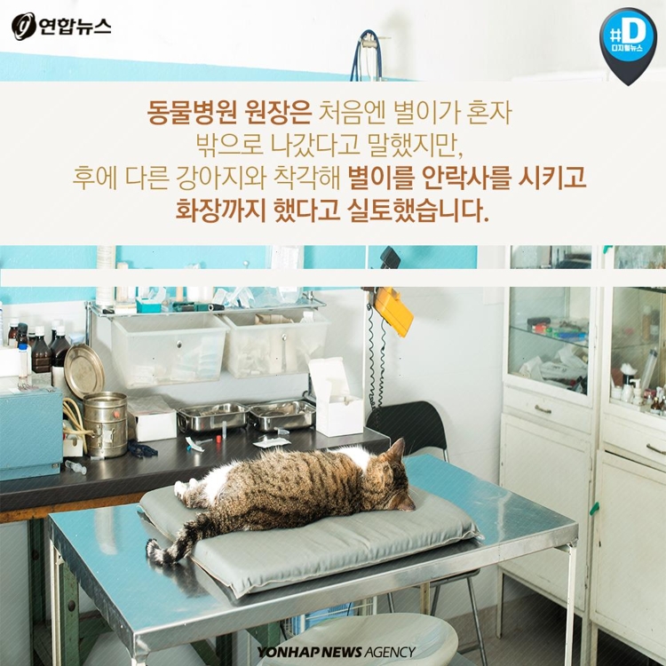 [카드뉴스] '반려동물은 물건'…동물병원 의료사고에도 배상 적은 이유 - 3