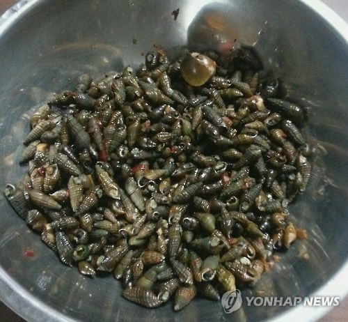 충북서 다슬기 채취하다 익사사고 잇따라(종합) - 1