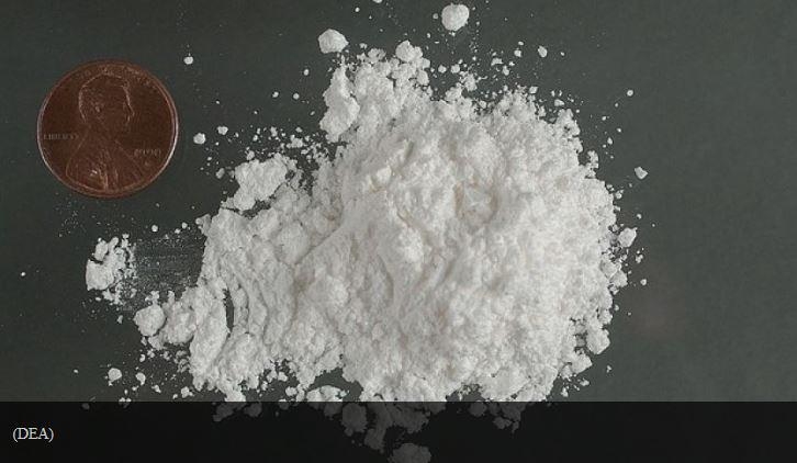 미 마약단속국 자료사진(코카인) 
