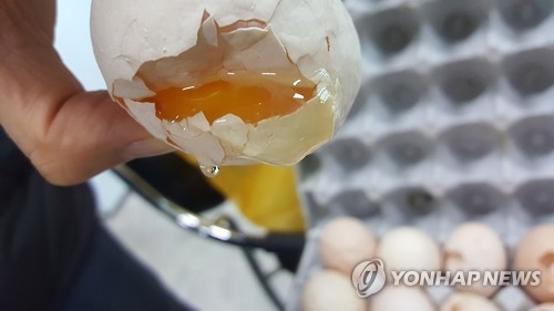 경찰이 압수한 깨진 계란 [연합뉴스 자료사진]