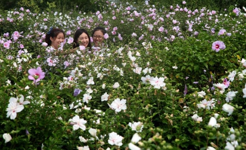 천리포수목원 무궁화 동산