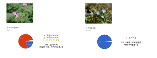 며느리밑씻개·큰개불알풀 명칭 개선안