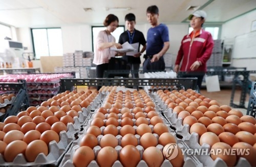 달걀 점검하는 지방자치단체 직원 [연합뉴스 자료사진]