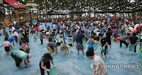전어 잡는 관광객들
