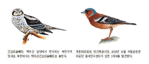한반도의 새