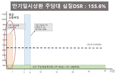 "DSR 산출할 때 5∼10년 후 소득·상환부담 감안해야" - 1