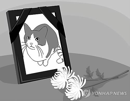 법원 "반려동물 죽음 애도 동물장례식장은 혐오시설 아냐" - 1
