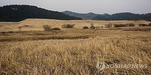 천연기념물로 지정된 신두리해안사구