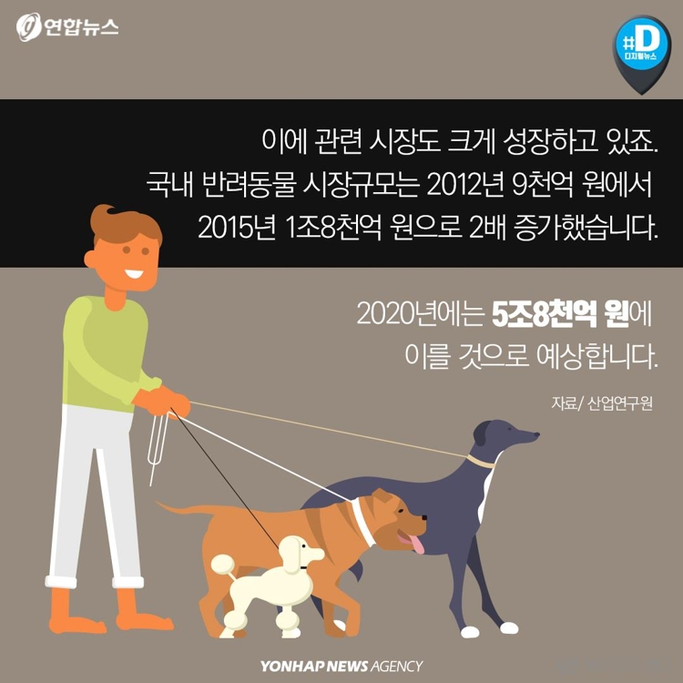 [카드뉴스] "가족이라면서요?"…유기동물 9만마리 육박 - 5