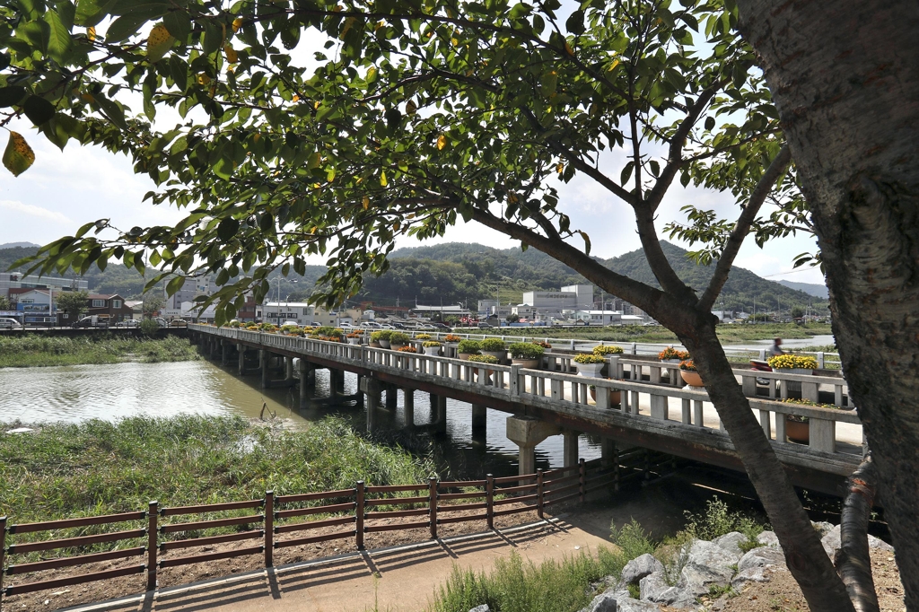 '비극의 현장' 소화다리