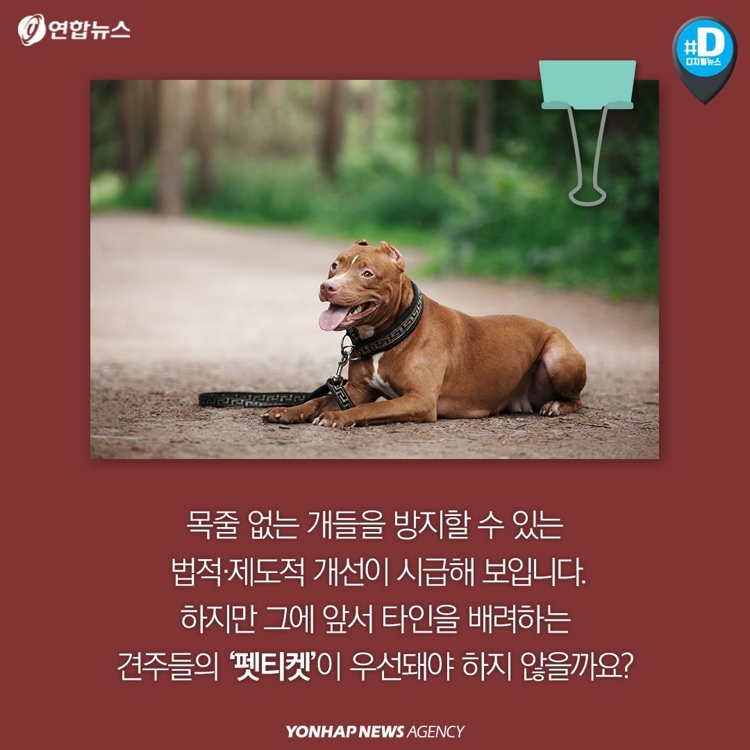 [카드뉴스] "우리 개는 안 물어요"…개주인 무책임에 대형사고 난다 - 13