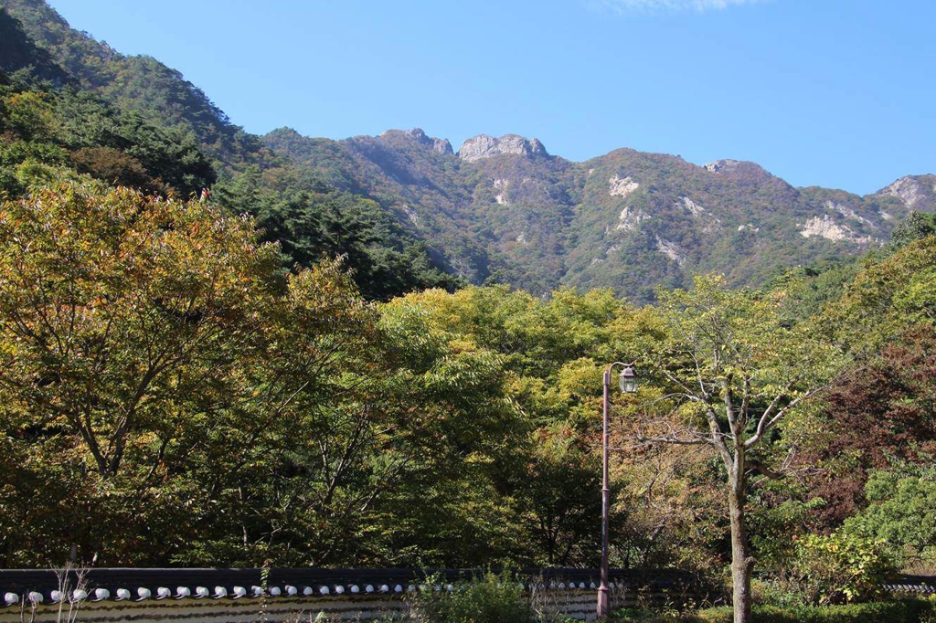계룡산 단풍 시작
