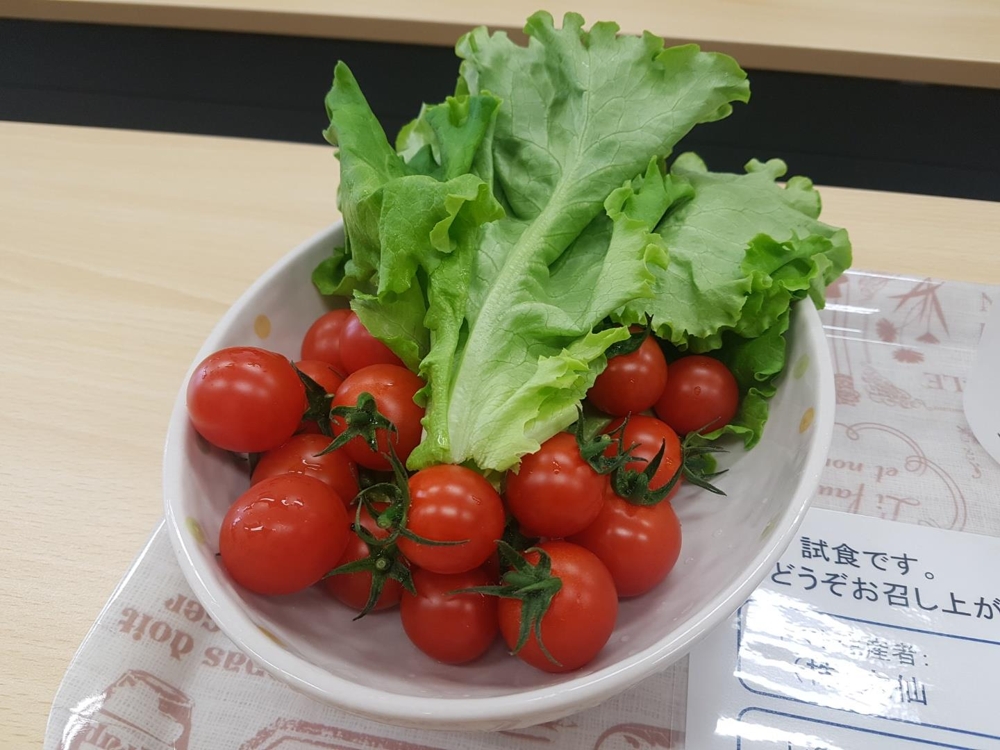 LED 조명으로 재배한 토마토·상추