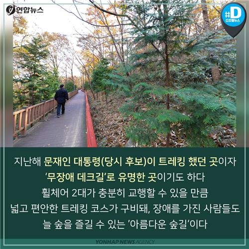 [카드뉴스] 새해맞이 나들이 '숲속의 전남' 어떨까요? - 9