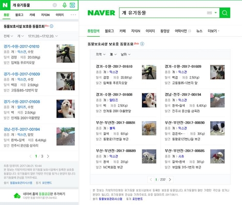 실종 유기 동물 찾기 화면