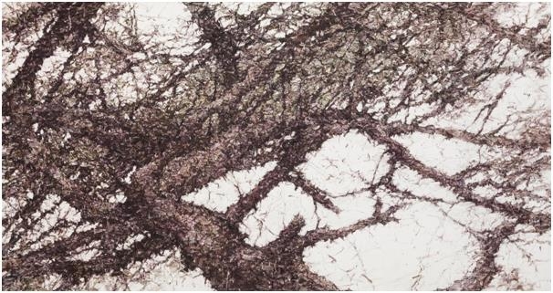 김성남, The tree 1602, 캔버스에 유채, 80x150cm, 2016