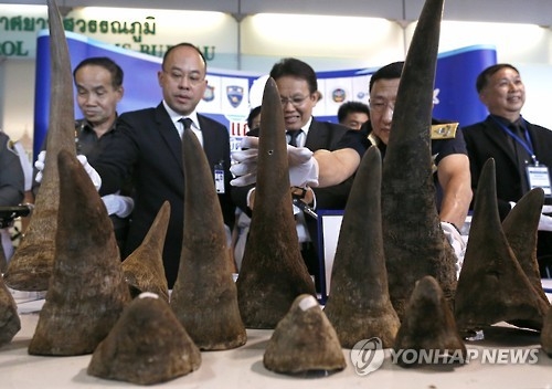 지난해 3월 방콕 수완나품 공항에서 적발된 코뿔소 뿔[epa=연합뉴스 자료사진]