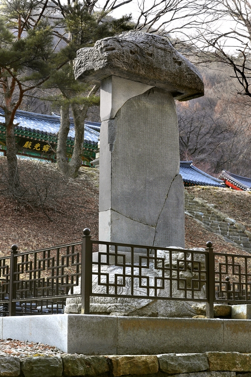 비로사 일주문을 지나 돌계단을 오르면 거북받침 위에 비신을 세운 진공대사보법탑비가 있다.
