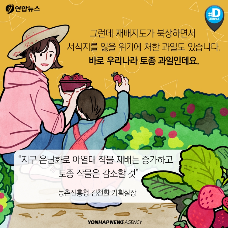 [카드뉴스] 80년후 한국산 사과, 구경하기 힘들어진다 - 9