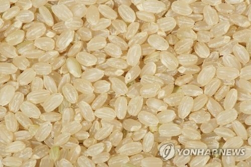 현미 (이종백=연합뉴스)
