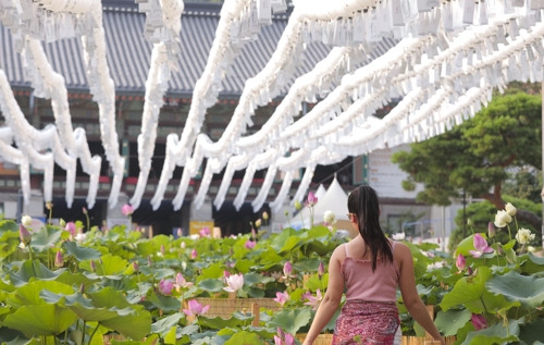 한여름밤의 데이트 적격인 봉은사 연꽃축제(성연재 기자)