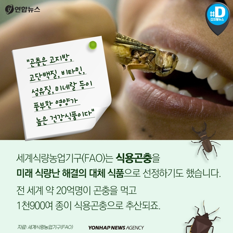[카드뉴스] "곤충, 이제는 약으로 드세요" - 4