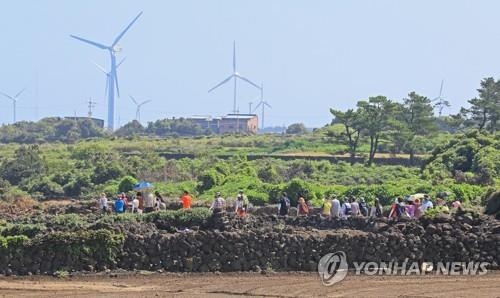 제주 밭담 축제