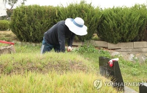 빗속 추석맞이 벌초