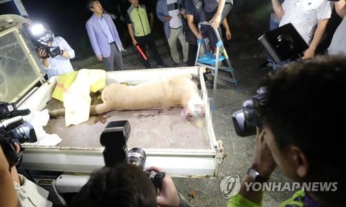 사육장 탈출했다 사살된 퓨마