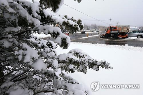 대설주의보