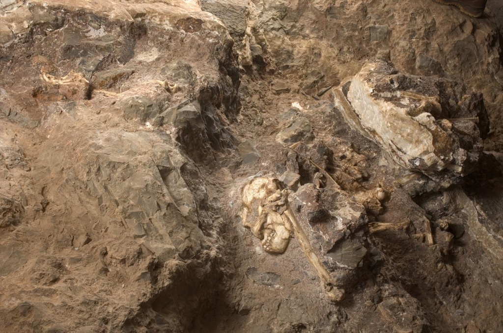 동굴 바닥의 리틀풋 화석 