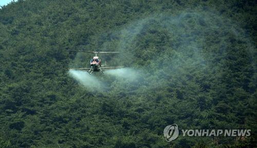 산림 헬기 항공방제 모습