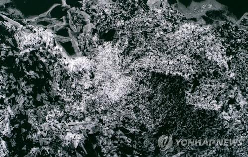 세밑 한파가 만든 얼음조각