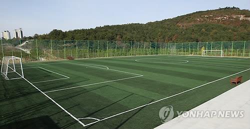 인조 잔디구장 해당 기사와 상관없음