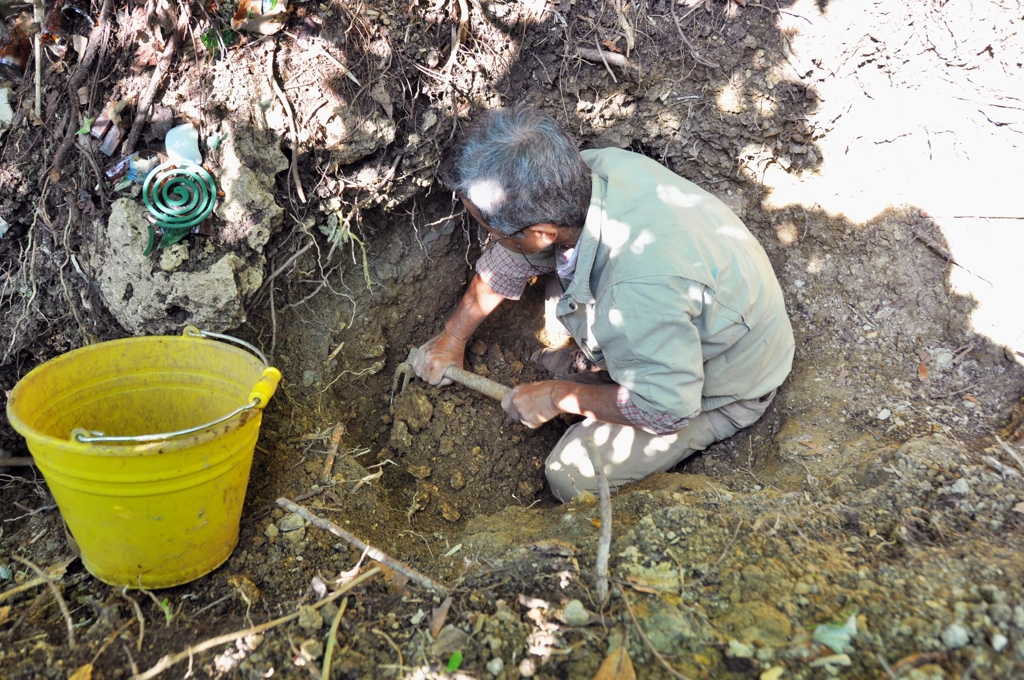 일본 오키나와에서 유골을 발굴 중인 일본 시민단체 활동가 [교도=연합뉴스 자료사진]
