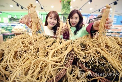 금산 인삼