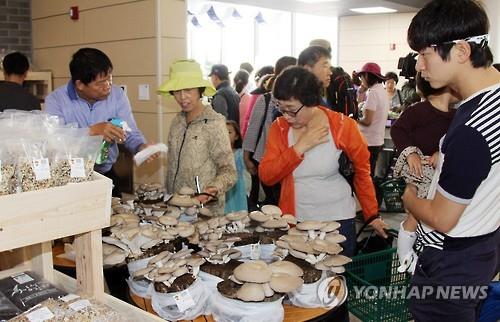 세종 '싱싱장터 도담도담' 개장