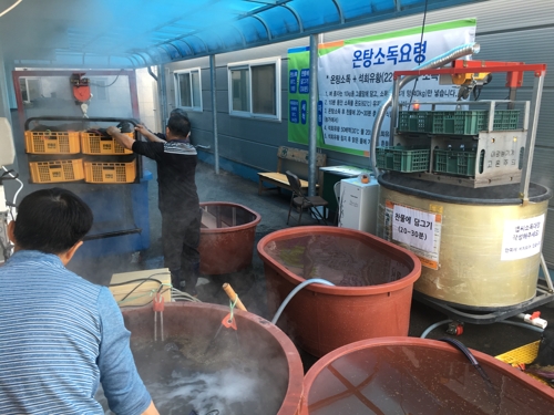 곡성군 볍씨 온탕소독장