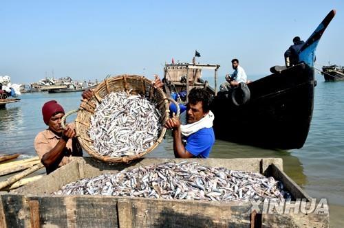 2019년 2월 1일 방글라데시 남부 콕스바자르에서 포획한 물고기를 내려놓는 어부. [신화=연합뉴스]