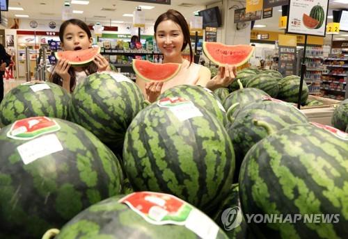 이마트 수박판매 매장