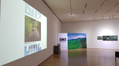 'DMZ 평화 생명의 땅' 사진전