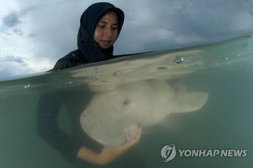 보호구역 관계자의 보살핌을 받고 있는 '아기 듀공' 마리암
