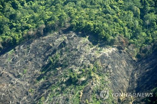 훼손되는 인도네시아 열대우림. [EPA=연합뉴스]