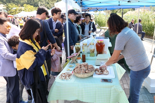 지난해 버섯 음식거리 축제