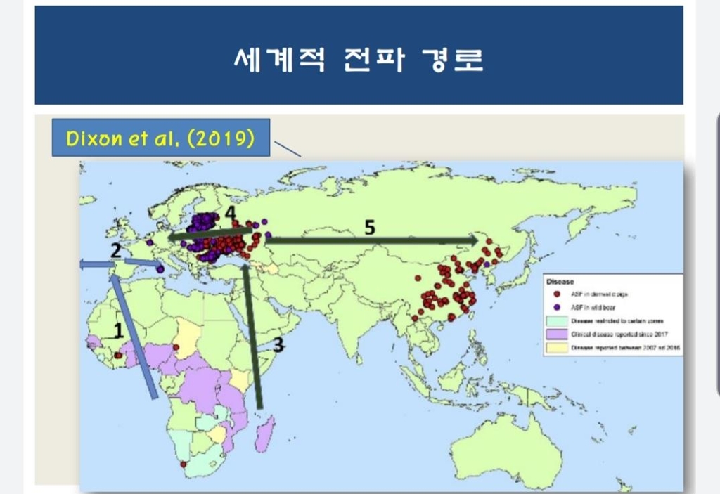 아프리카돼지열병 지난 100년간 대륙별 전파 방향