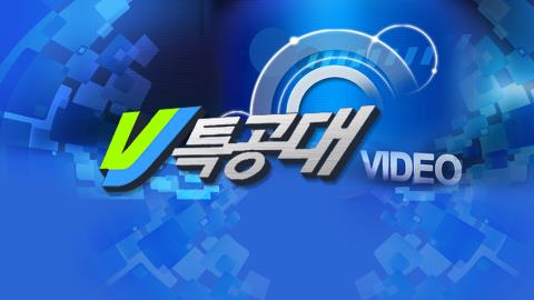VJ 특공대